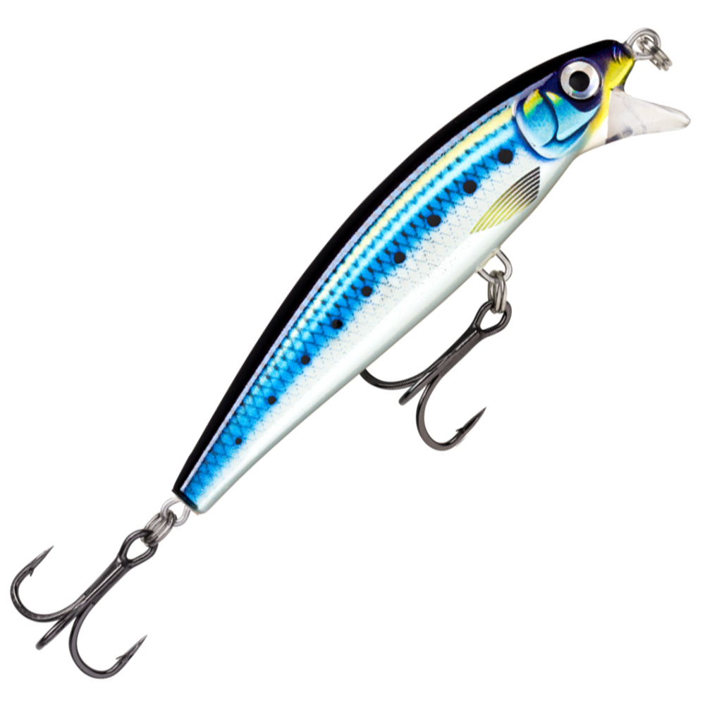 HD Blue Sardine