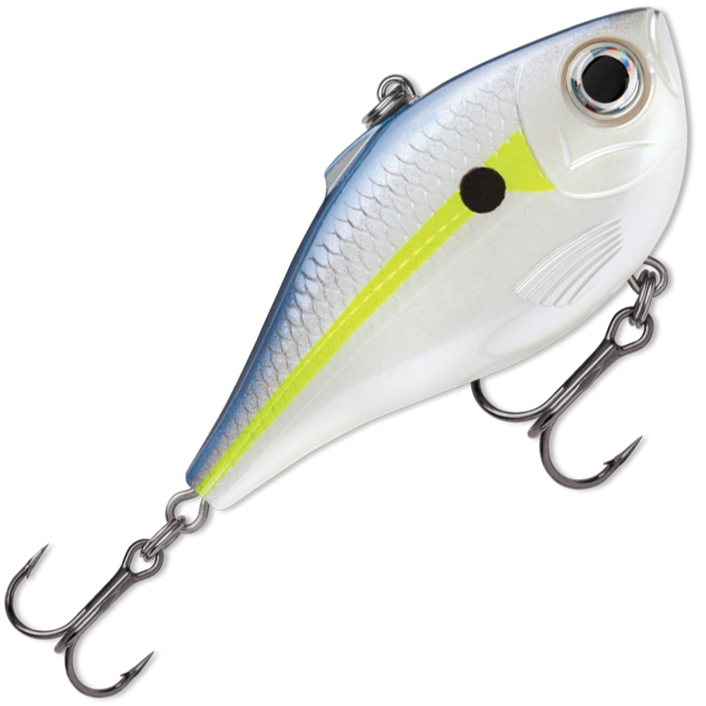 Helsinki Shad