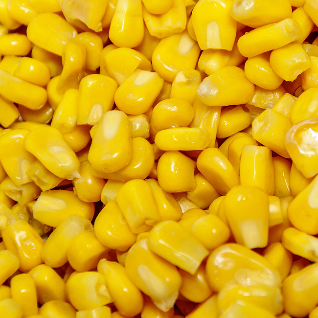 KCB Maize Yellow 20kg